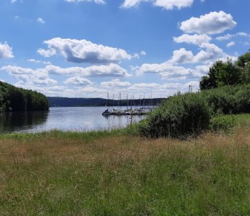 Brigitte & Max Gloor Stiftung unterstützt Schaukelpferd