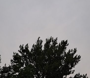 Dicke Rauchwolken über Isjum