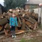 Brennholz für Isjum